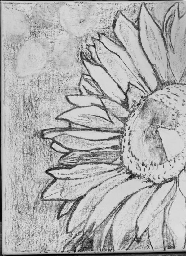 Sunflower - Image 3